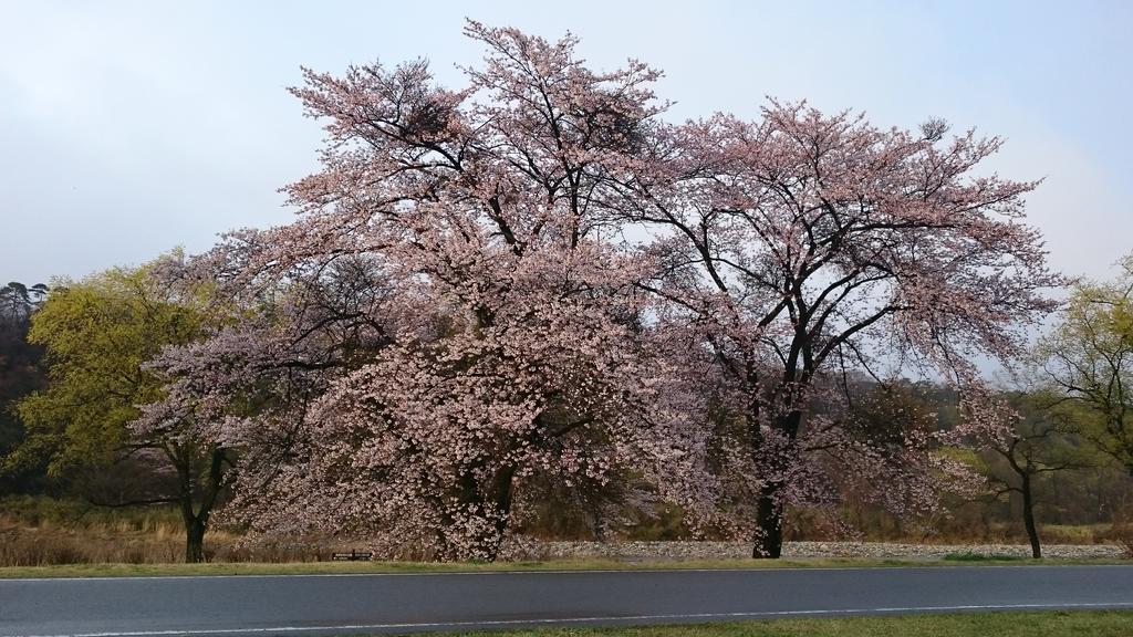 ホテル かんすい苑　覚楽  那須塩原市 エクステリア 写真